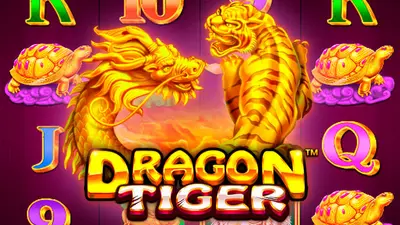 dragon tiger 331